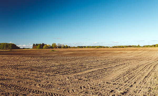 夏東路東側地塊、孔溪村民小組舊工業區地塊土地整理項目