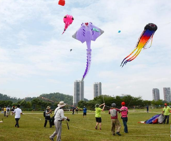 2016年陽江國(guó)際風(fēng)箏邀請(qǐng)賽